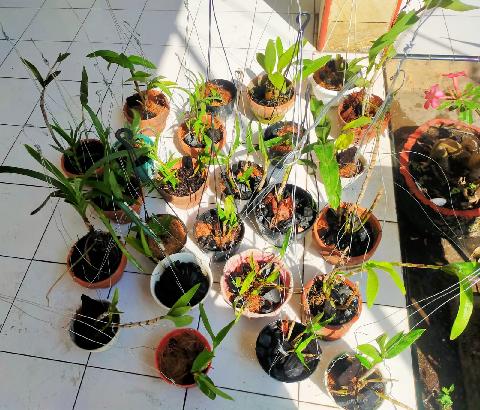 Jumat Bersih, Taman Kecamatan Makin Asri